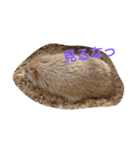 realer（個別スタンプ：6）