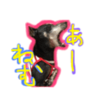 toy man beck（個別スタンプ：9）
