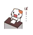 貝ねこの日常会話スタンプ（個別スタンプ：9）