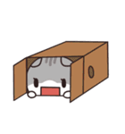 貝ねこの日常会話スタンプ（個別スタンプ：36）