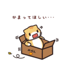 貝ねこの日常会話スタンプ（個別スタンプ：37）