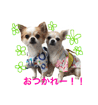 やんぴー♡♡♡♡.（個別スタンプ：1）