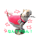 やんぴー♡♡♡♡.（個別スタンプ：2）