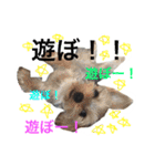 やんぴー♡♡♡♡.（個別スタンプ：5）