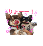 やんぴー♡♡♡♡.（個別スタンプ：9）