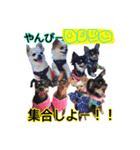 やんぴー♡♡♡♡.（個別スタンプ：17）