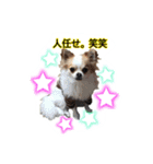 やんぴー♡♡♡♡.（個別スタンプ：18）