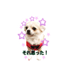やんぴー♡♡♡♡.（個別スタンプ：20）