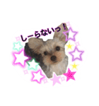 やんぴー♡♡♡♡.（個別スタンプ：21）