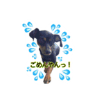 やんぴー♡♡♡♡.（個別スタンプ：22）