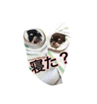 やんぴー♡♡♡♡.（個別スタンプ：23）
