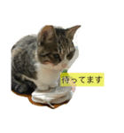 LEON And anko（個別スタンプ：2）