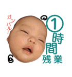 セイゴ ～日常会話編～（個別スタンプ：31）