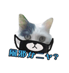 デブ猫のLOVE2（個別スタンプ：6）