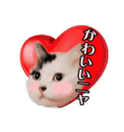 デブ猫のLOVE2（個別スタンプ：17）