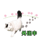 デブ猫のLOVE2（個別スタンプ：18）