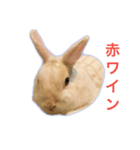 真っ白うさぎスタンプ！ 飲みたい気分編☆（個別スタンプ：4）