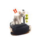コッパーすたんぷ 4（個別スタンプ：2）