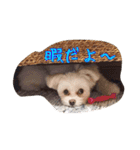 コッパーすたんぷ 4（個別スタンプ：4）