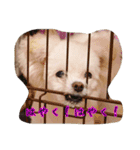 コッパーすたんぷ 4（個別スタンプ：5）