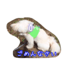 コッパーすたんぷ 4（個別スタンプ：6）