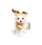 コッパーすたんぷ 4（個別スタンプ：8）
