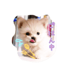 コッパーすたんぷ 4（個別スタンプ：11）