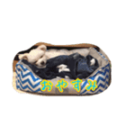 コッパーすたんぷ 4（個別スタンプ：13）