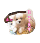 コッパーすたんぷ 4（個別スタンプ：14）