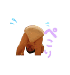 ヤマダです（個別スタンプ：8）