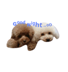 wannnn（個別スタンプ：2）