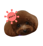wannnn（個別スタンプ：3）