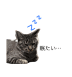 まぴくん（個別スタンプ：12）