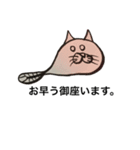 しかし猫でもない。（個別スタンプ：1）