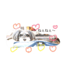 さくらスタンプ2（個別スタンプ：8）