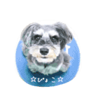 さくらスタンプ2（個別スタンプ：15）