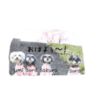 さくらバージョンスタンプ2（個別スタンプ：3）