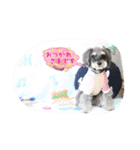 さくらバージョンスタンプ2（個別スタンプ：19）