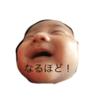yshr ブラザーズ（個別スタンプ：1）