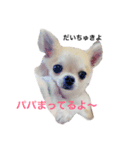 love...chi.co.mi（個別スタンプ：1）
