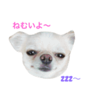 love...chi.co.mi（個別スタンプ：3）