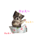 love...chi.co.mi（個別スタンプ：5）