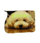 ぱぴぷうちゃんのご挨拶（個別スタンプ：7）