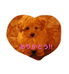 ぱぴぷうちゃんのご挨拶（個別スタンプ：10）