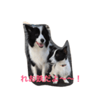 れお鉄 Part②（個別スタンプ：1）