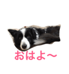 れお鉄 Part②（個別スタンプ：2）
