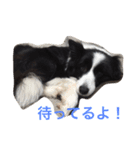 れお鉄 Part②（個別スタンプ：7）