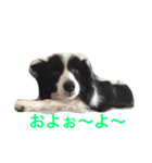れお鉄 Part②（個別スタンプ：8）