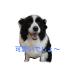 れお鉄 Part②（個別スタンプ：10）