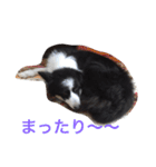 れお鉄 Part②（個別スタンプ：11）